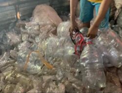 WALHI Kritik Dukungan Pemerintah Terhadap Produk Galon Sekali Pakai, Bisa Jadi Masalah Rusak Lingkungan