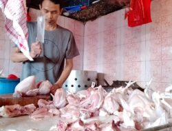 Ternyata Ini Penyebab Harga Daging Ayam Mahal