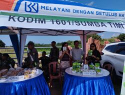 Sukses Berkat Modal BRI, Tukang Ojek di NTT Kembangkan Bisnis Pohon Kelor