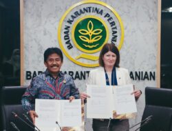 Barantan Buka Kembali Sapi Impor di 7 Peternakan Australia