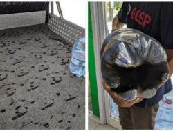 Galon Sekali Pakai Gosong, Viral di Medsos Efek Terik Matahari Harus Waspada