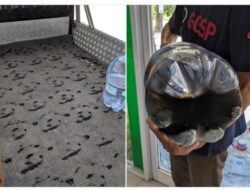 Hati Hati Terkecoh, Galon kemasan PET juga Belum Tentu Aman, Ini Alasannya