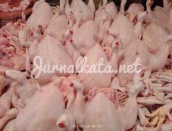 Jelang Ramadhan Harga Telur-Daging Ayam Pasar Tradisional Melesat