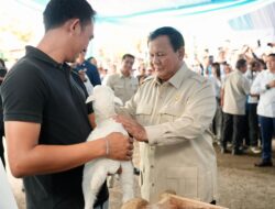 Prabowo Umumkan Indonesia Swasembada Pangan, Panen Raya di Karawang