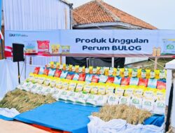 Bulog di Minta Amran Bersiap Ekspor Jagung Tahun Ini